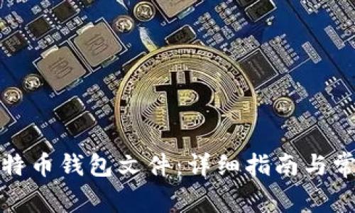 如何查看比特币钱包文件：详细指南与常见问题解答