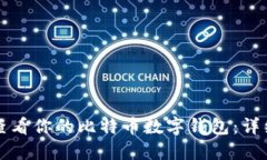 如何查看你的比特币数字钱包：详细指南