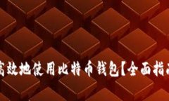 挪威人如何安全高效地使用比特币钱包？全面指