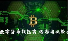 USDT数字货币钱包商：选择与比较全指南