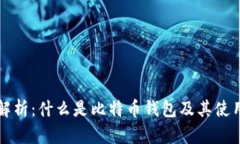 全面解析：什么是比特币钱包及其使用指南