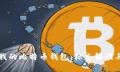 如何选择适合我的比特币钱包：标志解读与钱包