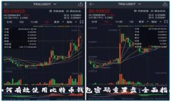 如何有效使用比特币钱包密码重置盘：全面指南
