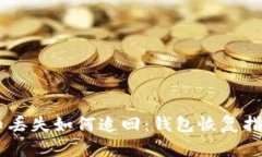 biatoti比特币丢失如何追回：钱包恢复指南与实用