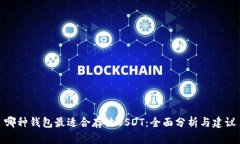 哪种钱包最适合存放USDT：全面分析与建议