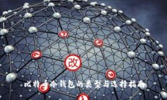 比特币冷钱包的类型与选择指南