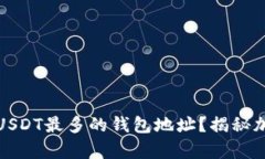 怎么找到存量USDT最多的钱包地址？揭秘加密资产