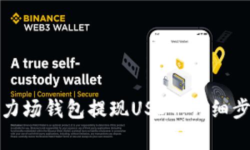 如何安全地从力场钱包提现USDT：详细步骤与注意事项