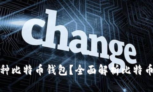 如何选择适合你的多币种比特币钱包？全面解析比特币钱包的优势与选择技巧