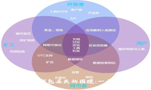 如何处理比特币冷钱包丢失的困境：一步步指南与解决方案