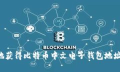 如何安全地获得比特币中文电子钱包地址：终极