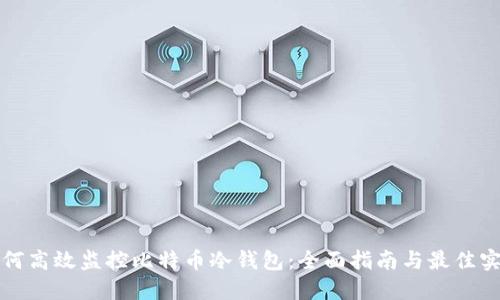 如何高效监控比特币冷钱包：全面指南与最佳实践
