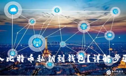 如何安全导入比特币私钥到钱包？详解步骤与注意事项